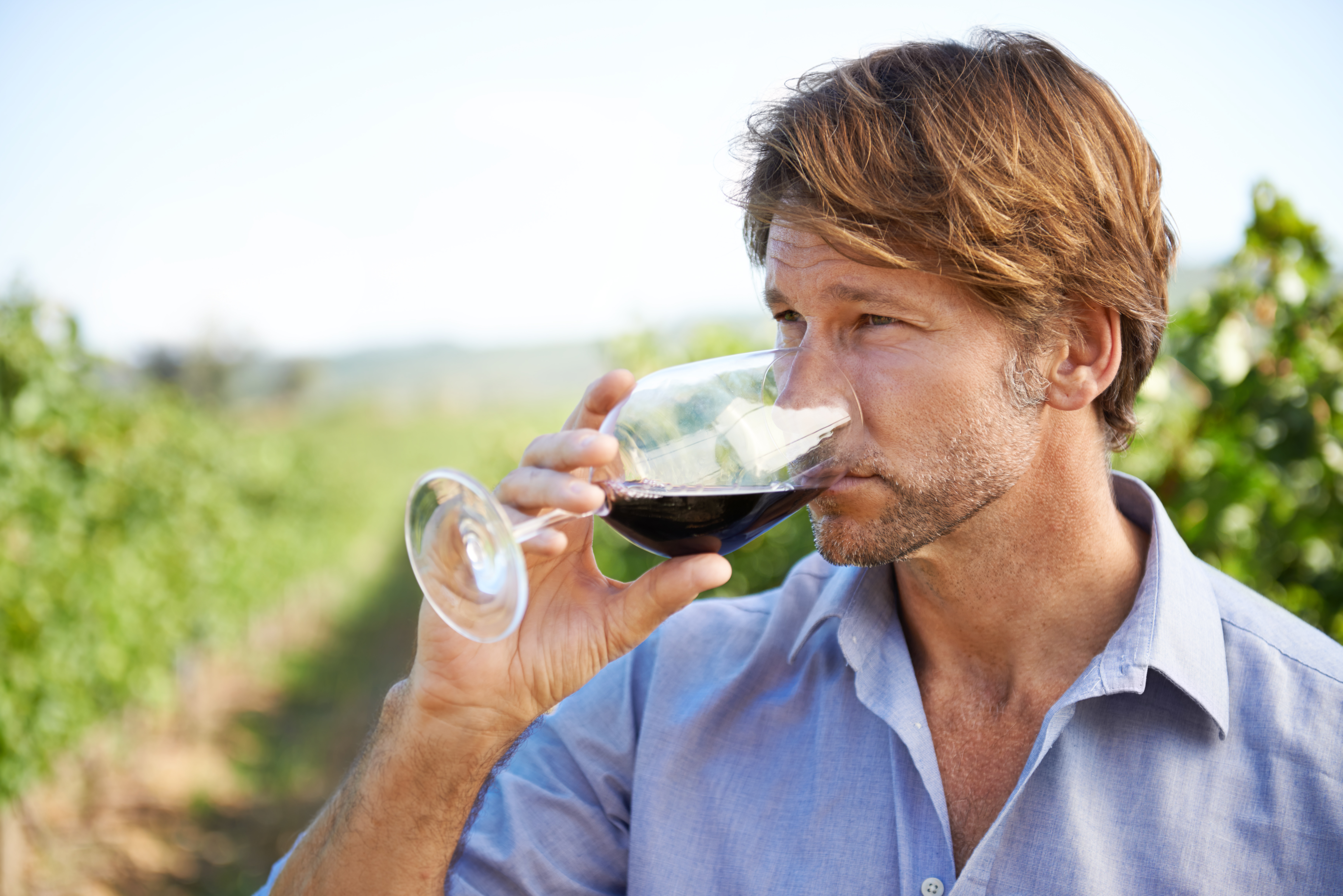 Shot of a handsome mature man tasting wine outside in a vineyard